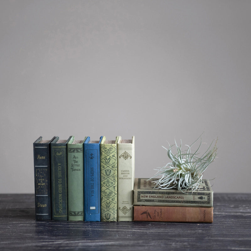 Book Storage Boxes - Pinecone Trading Co.