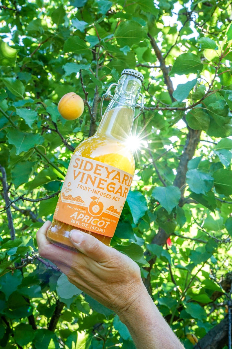 Sideyard Apricot Fruit-Infused Vinegar (ACV) - Pinecone Trading Co.