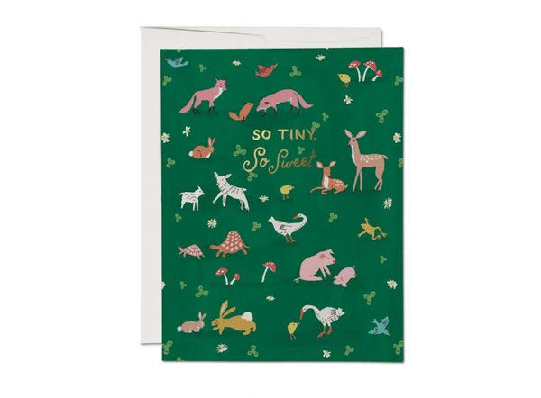 Tiny Animals Card - Pinecone Trading Co.