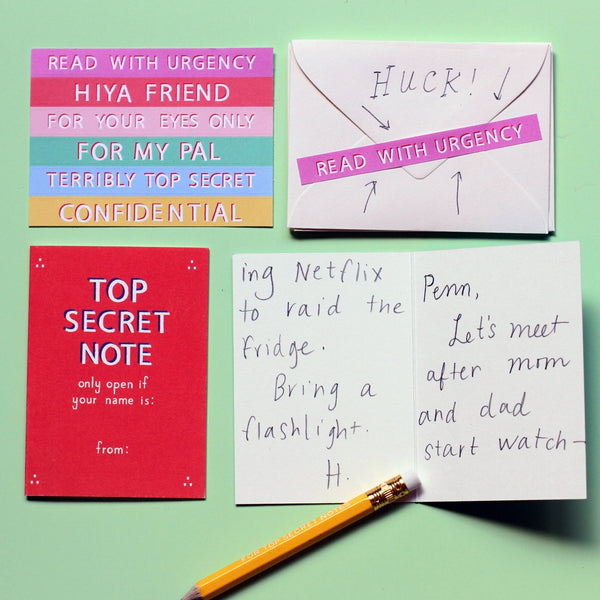 Top Secret Friendship Notes Set - Pinecone Trading Co.